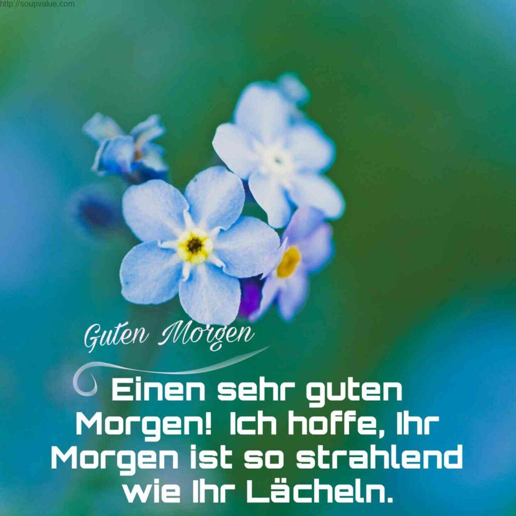 Guten Sprüche Whatsapp Guten Sprüche Soupvalue